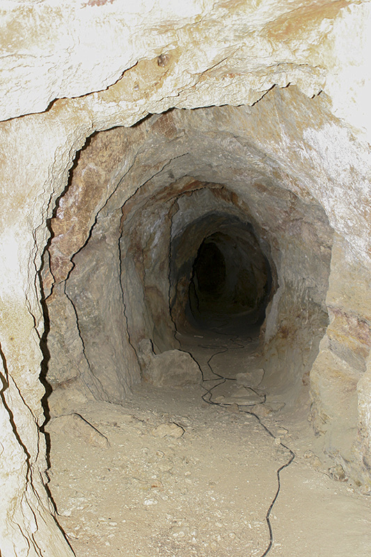 Hansiesrivier gold mine